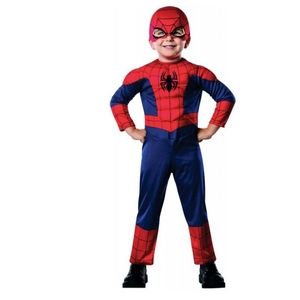 Spiderman Costume